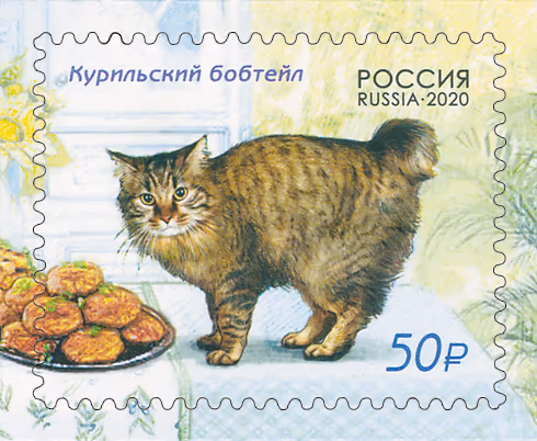 Bobtail de Carélie