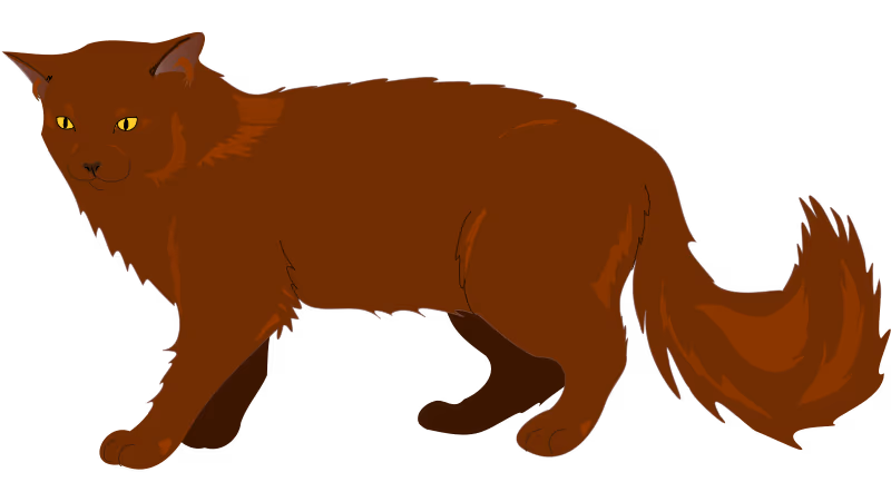 Chantilly (chat)