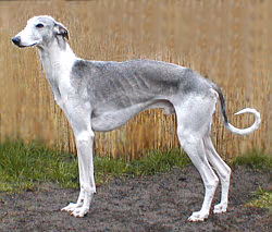 Khortaï