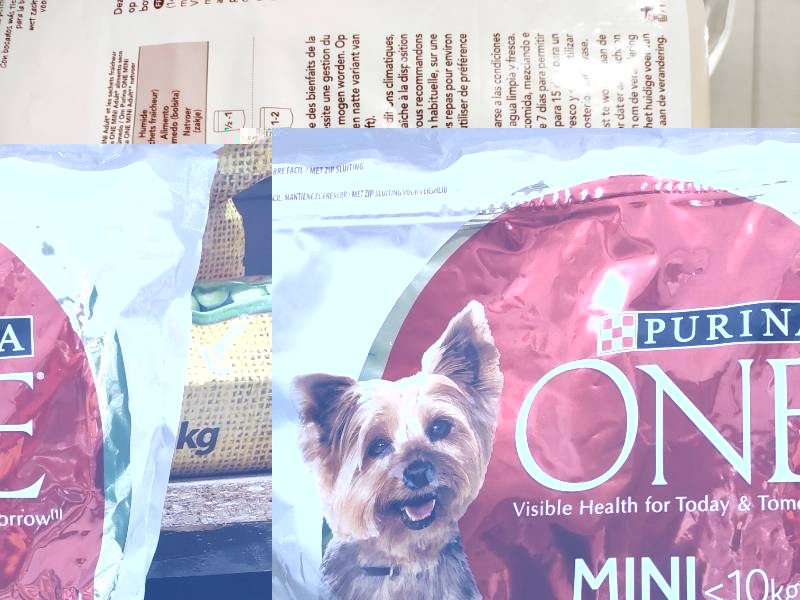 PURINA® ONE® MINI/SMALL < 10kg Adult Riche en Bœuf avec du riz