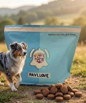 Canaillou Croquettes Bœuf Légumes Chien Adulte