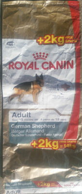 German Shepherd Adult