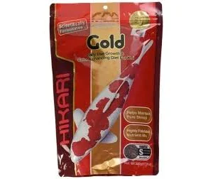 Hikari Cichlid Gold Poissons