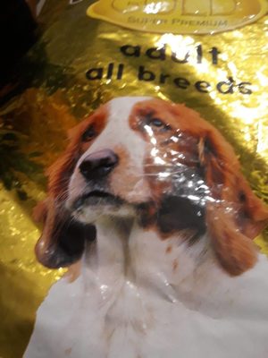 WILLOWY Gold Dog All Breed Adult 29/15 15kg