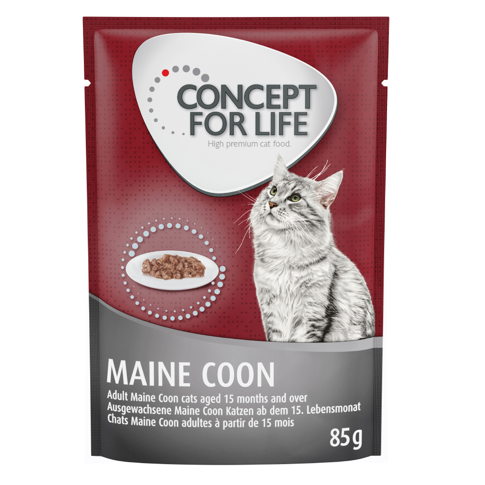 Concept for Life Maine Coon Adult - Chicken