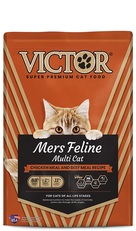 Mers Feline
