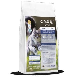 CROQ' la vie - Chat et chaton canard