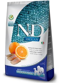 N&D Ocean Hareng & Orange Chat Adulte