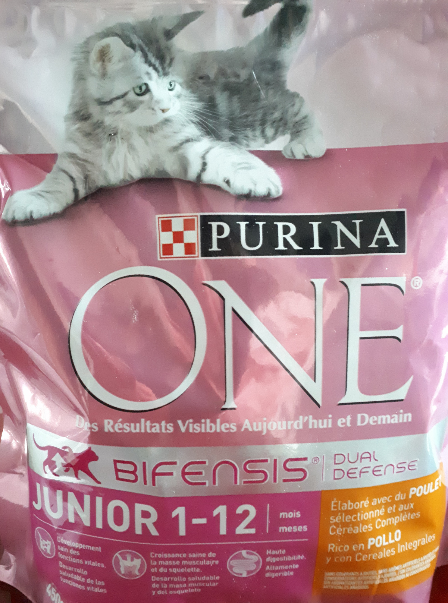 Croquettes pour chats juniors de 1 à 12 mois, au poulet et au riz