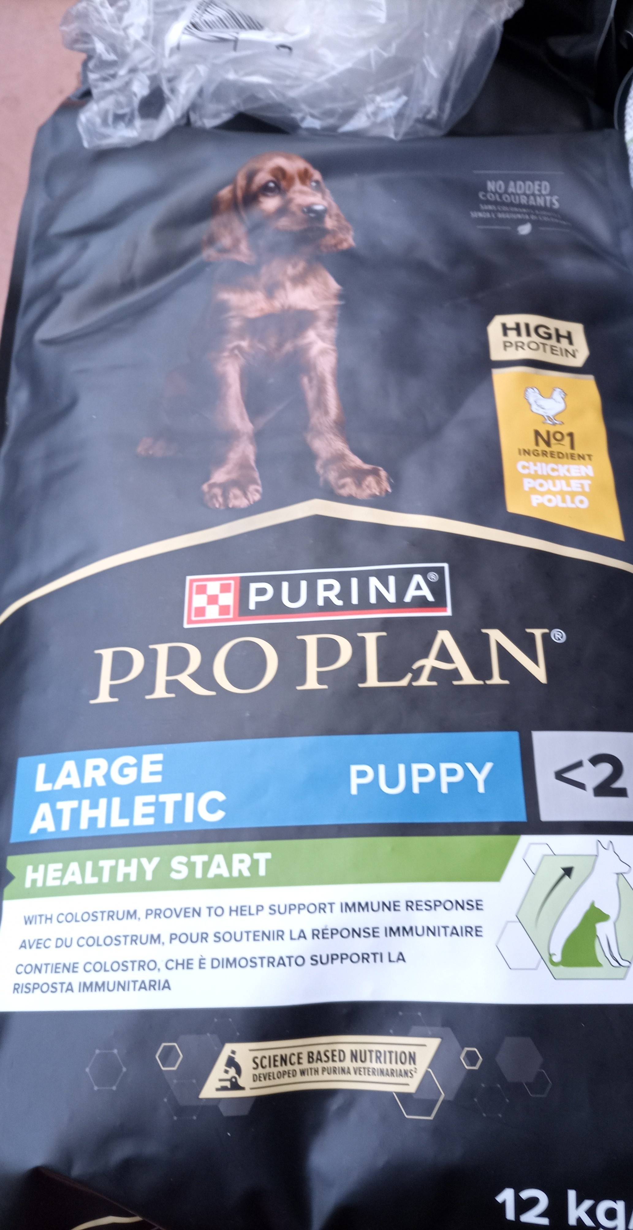 Puppy Large Athletic Poulet