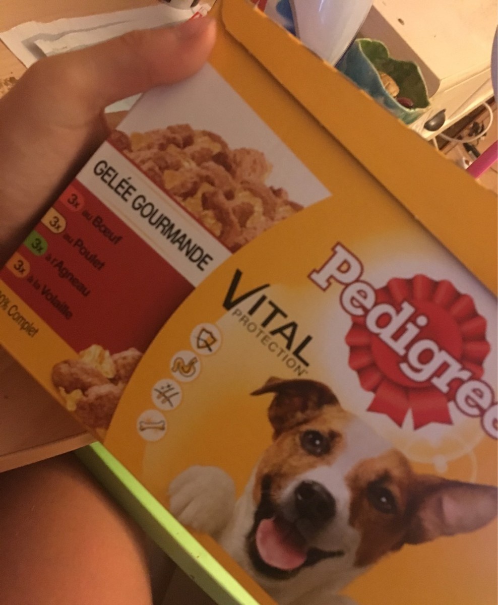 Vital Protection Poulet en Sauce