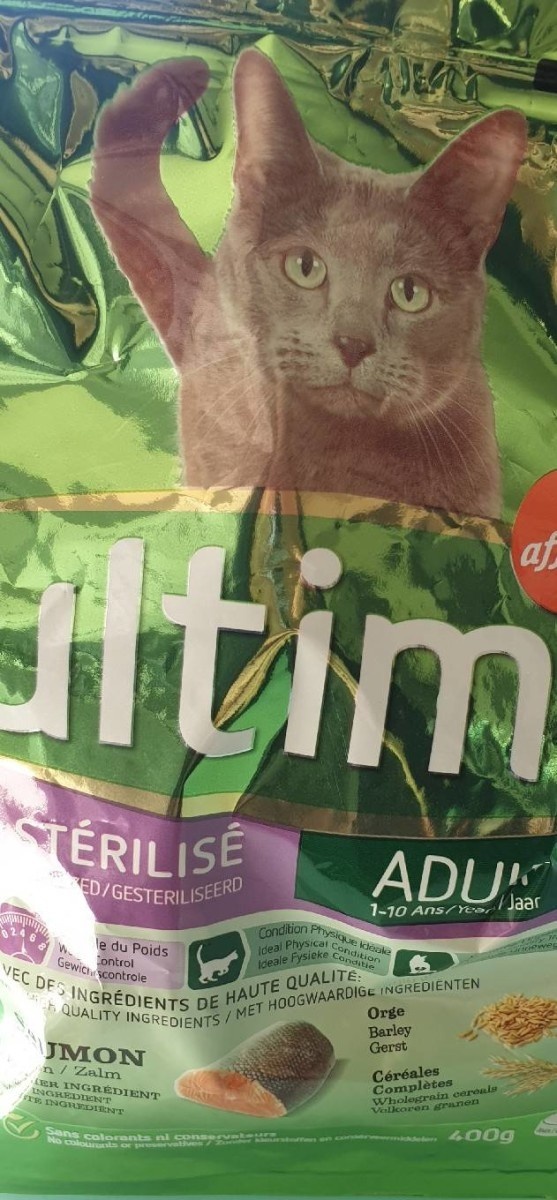 Chat Stérilisé Saumon