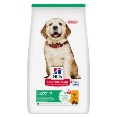 Science Plan Puppy Large Breed with Chicken