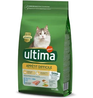 Chat Appétit Difficile Truite