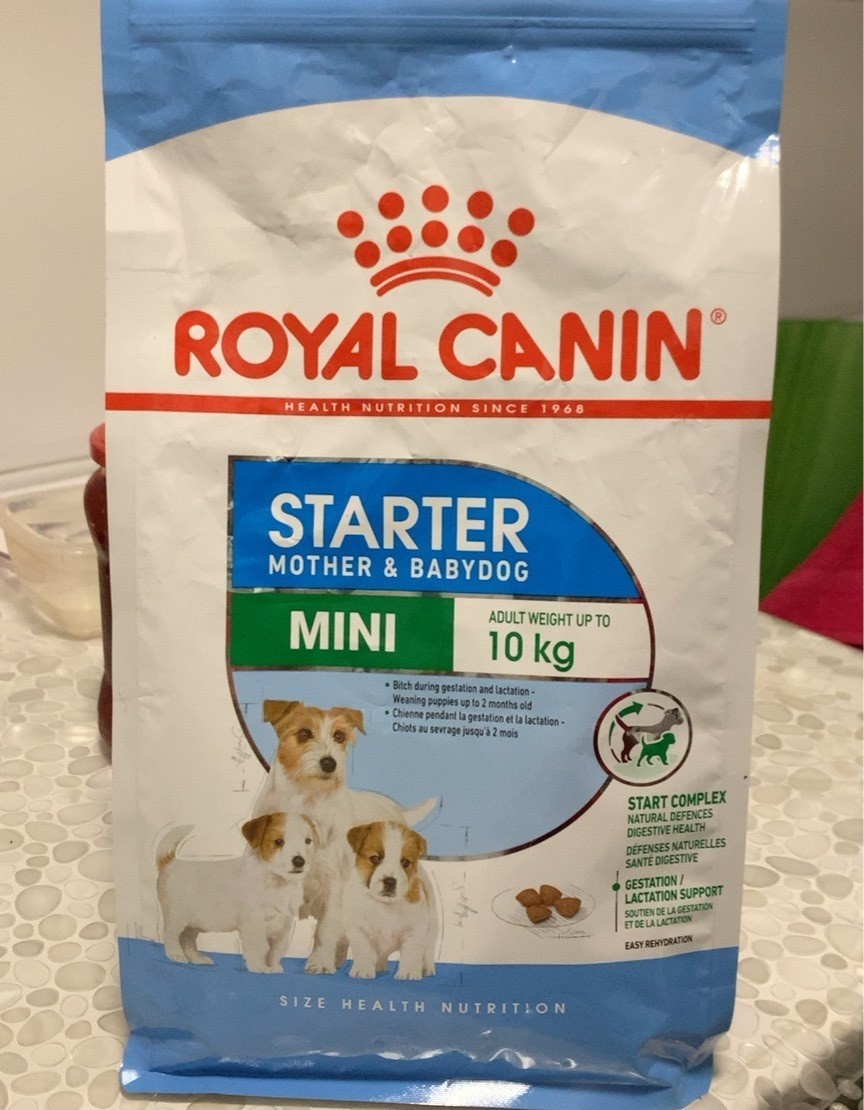 Starter Mousse Mother & Babydog