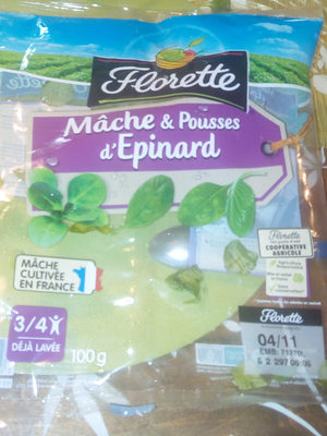 Mâche & pousses d'épinards