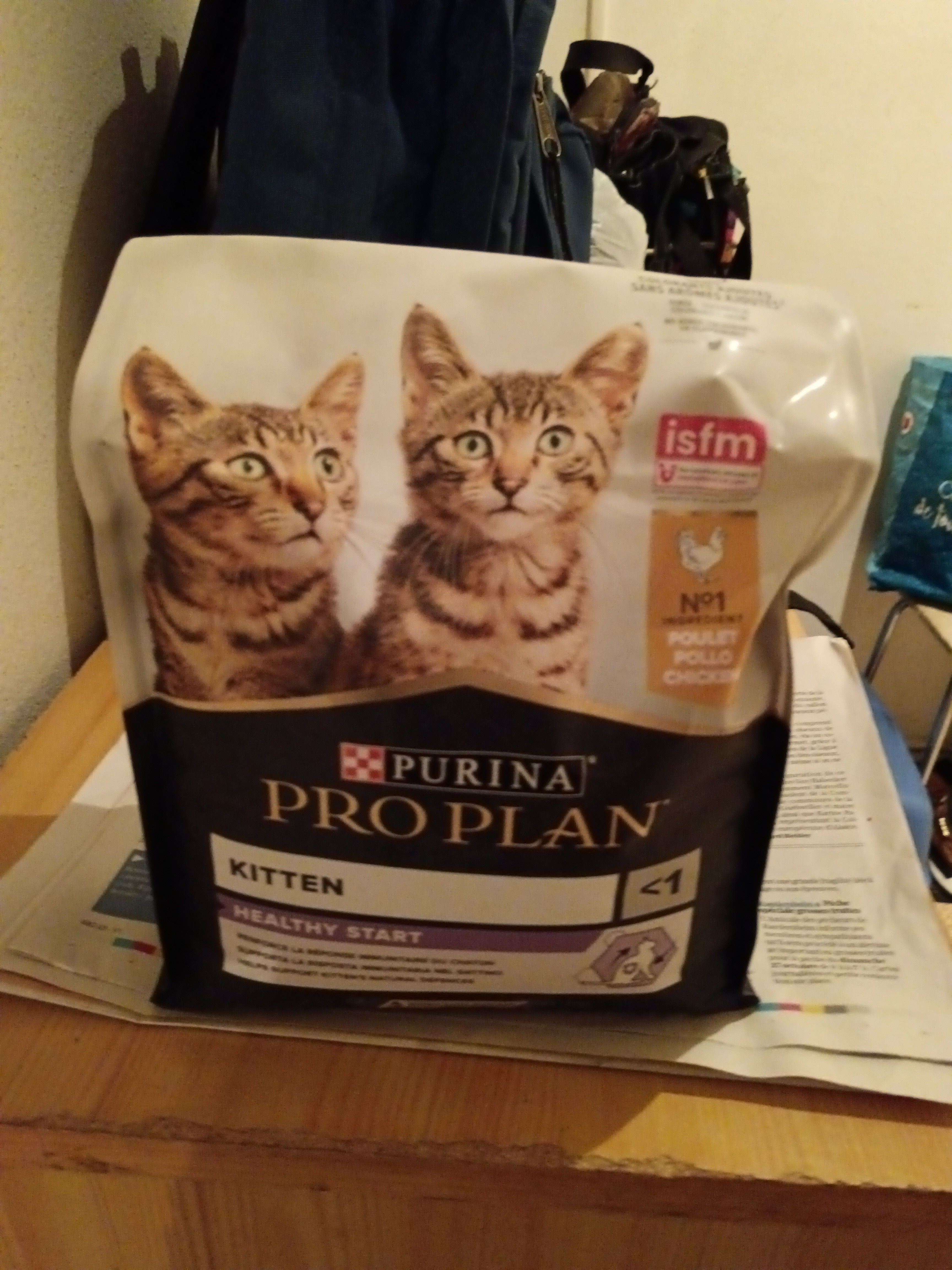 Kitten Poulet