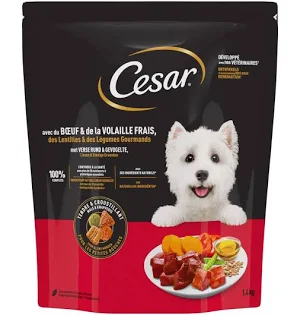 Terrine à la Volaille et aux Petits Légumes