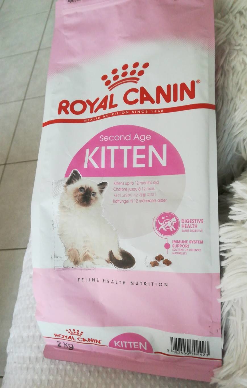 Royal Canin Kitten