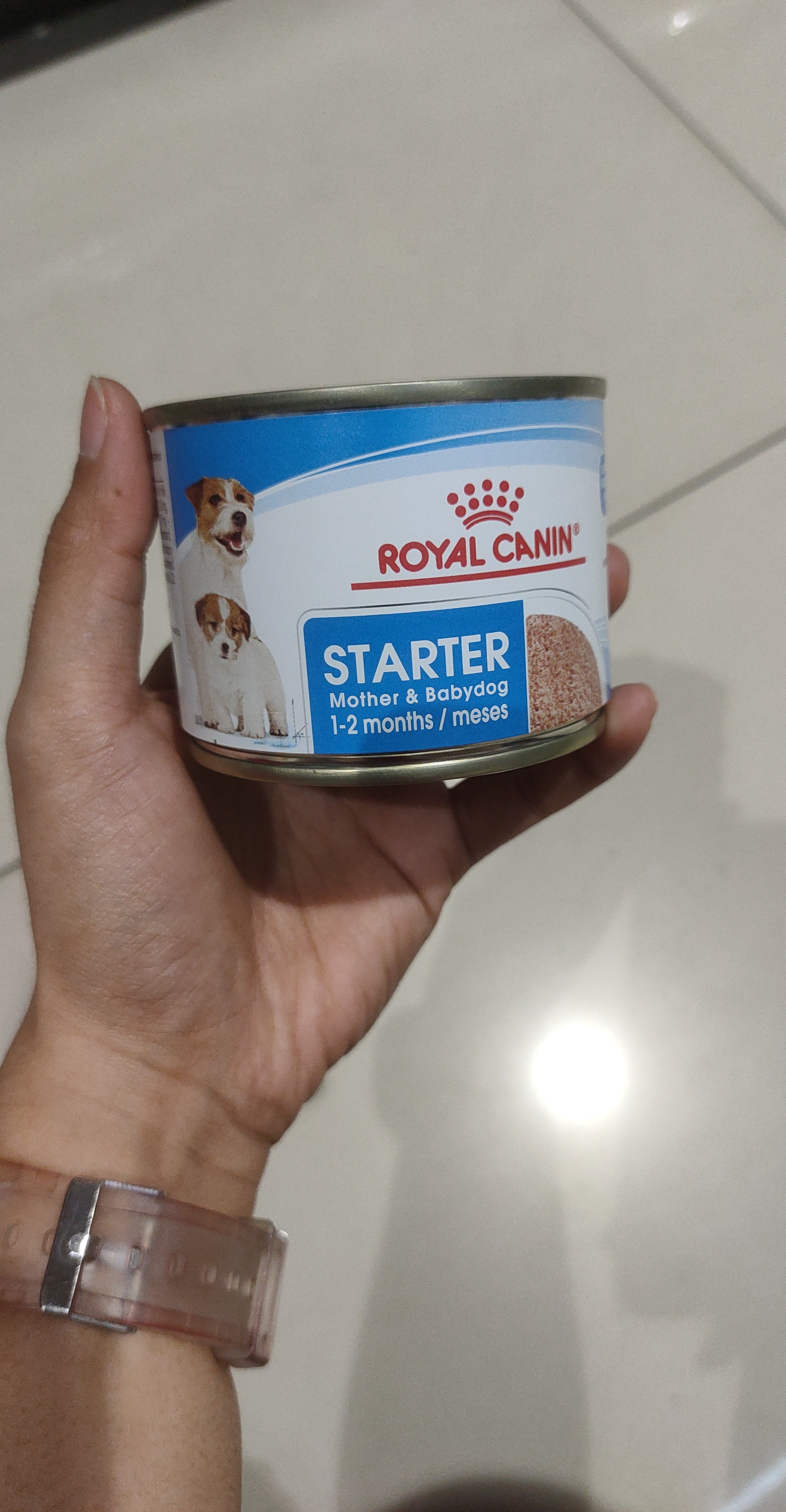 Starter Mousse Mother & Babydog