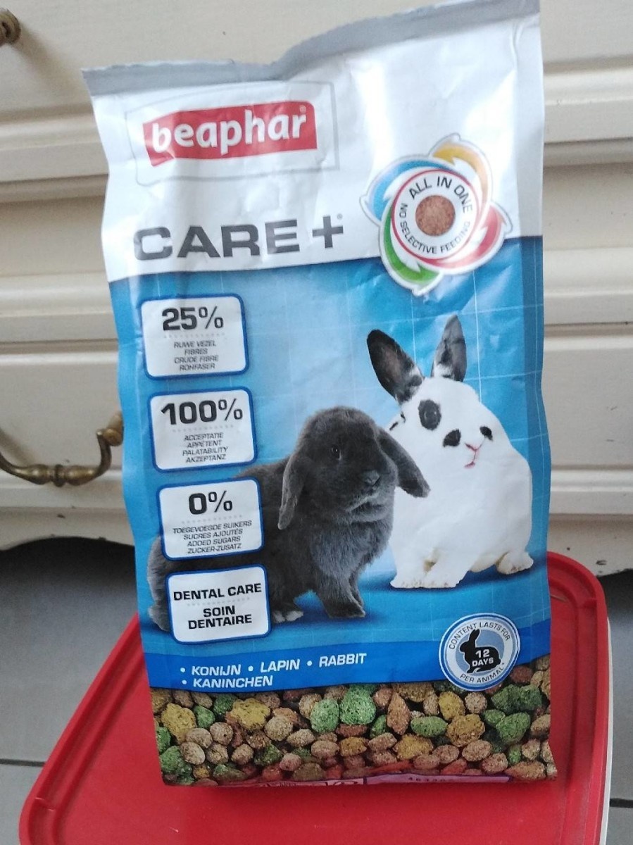 Care+ Lapin Adulte