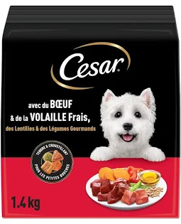 Patee Boeuf Carottes Chien