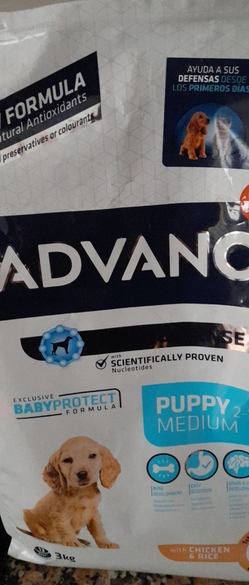 Puppy Medium Poulet Riz