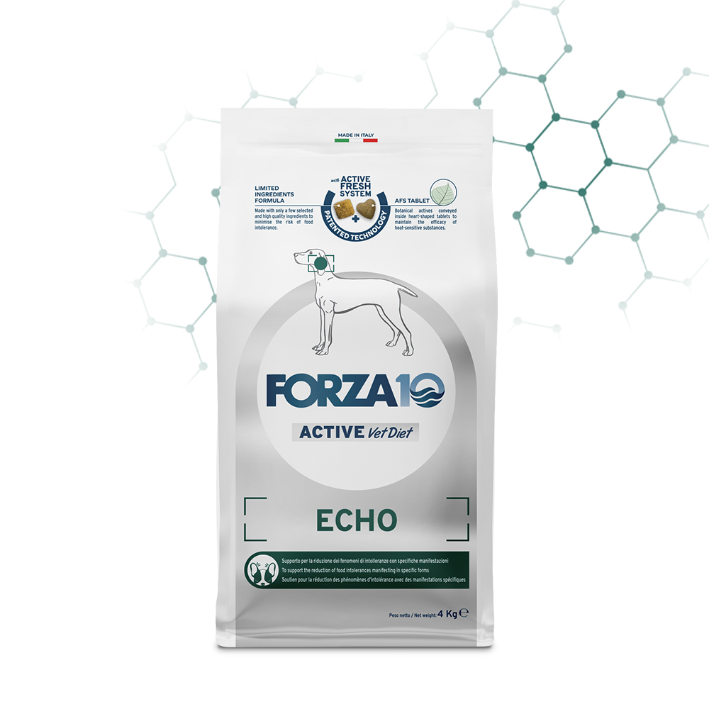 Echo (Oto) Active Diet All Size