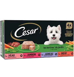 Barquette Terrine au Boeuf et Légumes