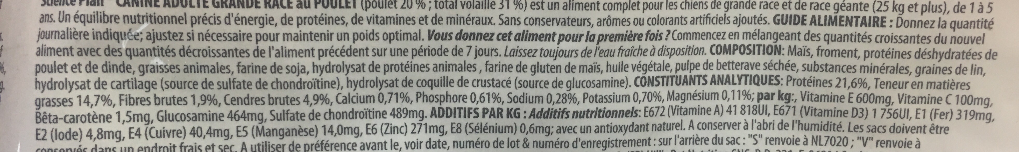 Large Breed Adult au Poulet