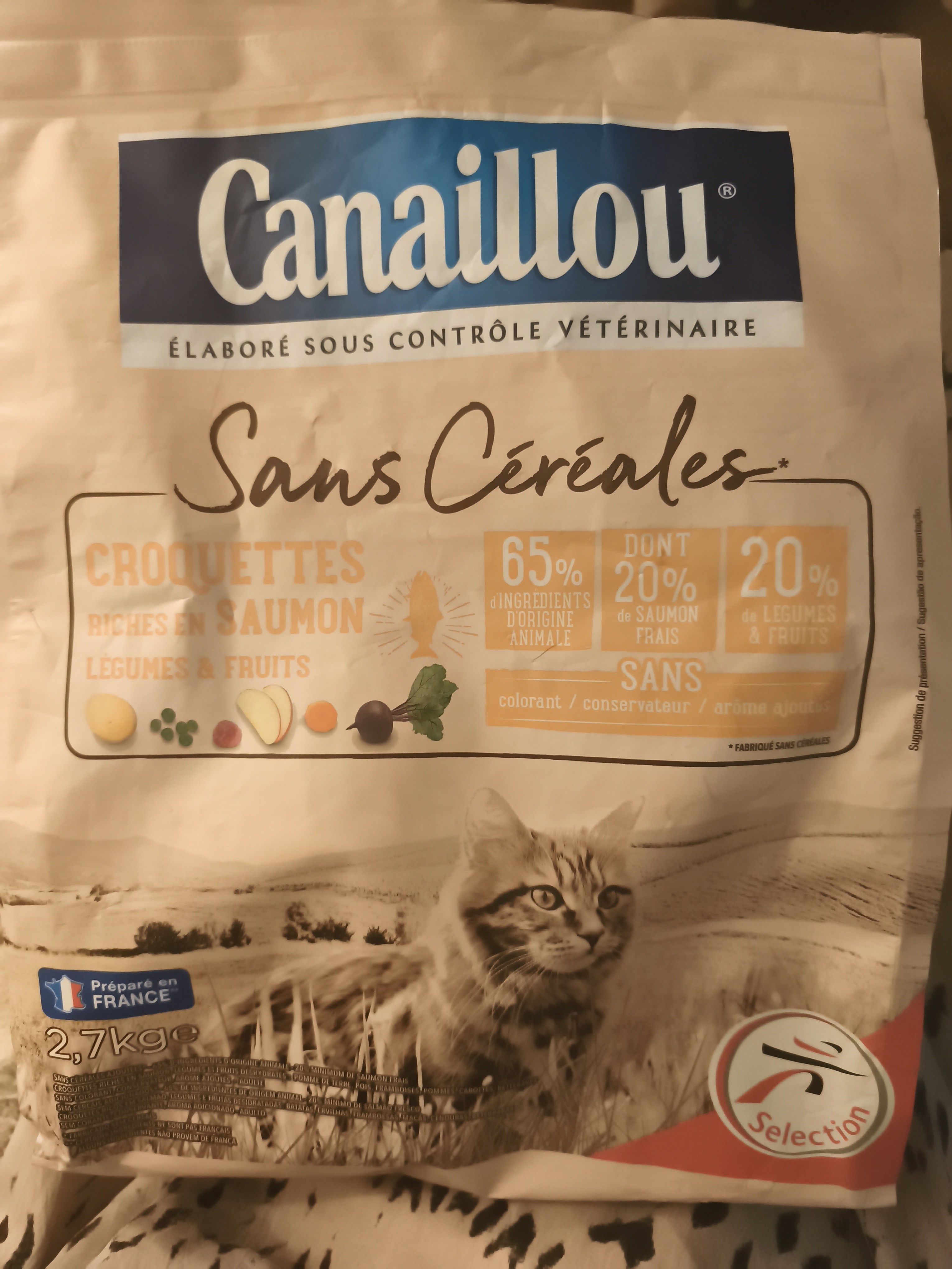 Croquettes Sans Céréales Riches en Saumon Chat