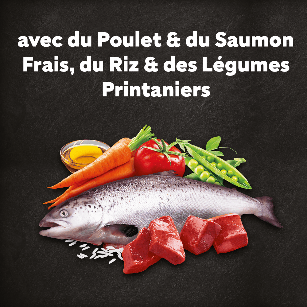 CESAR® Croquettes Adultes petite taille au Poulet et Saumon frais 1.4kg