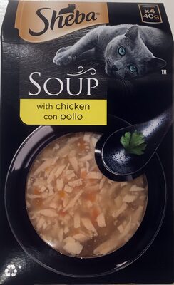 Soup with chicken