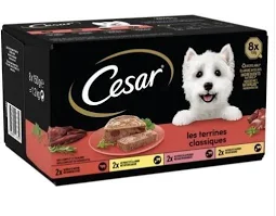 Cesar Barquettes Sélection Classique Adulte