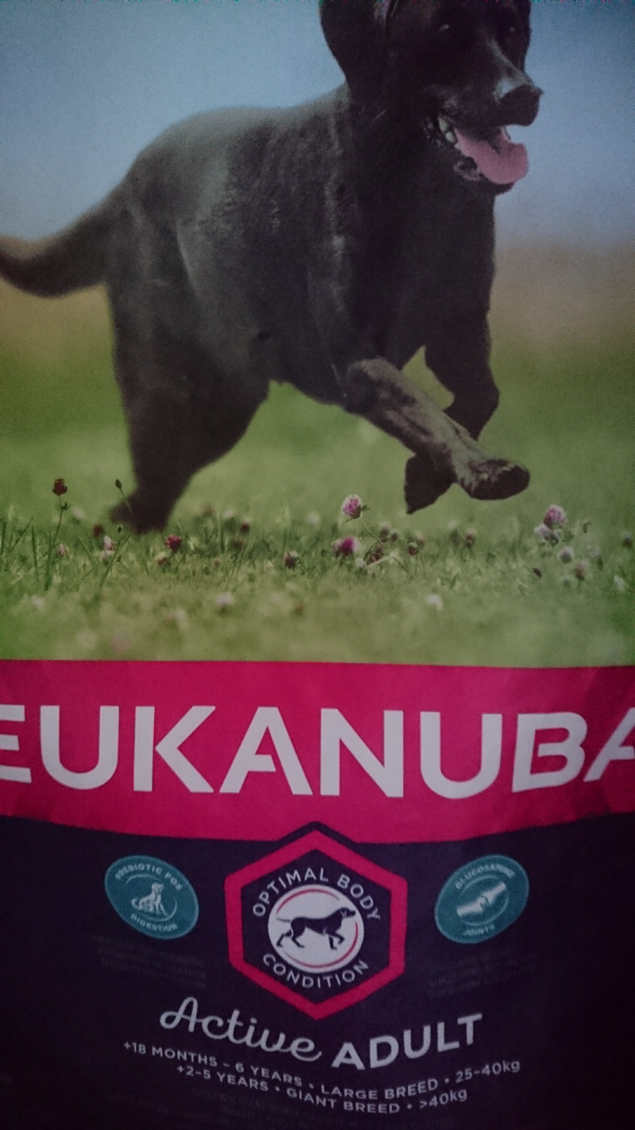 Eukanuba Adult Large Breed Poulet