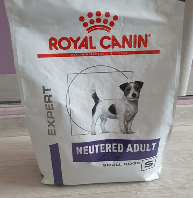 Neutered Adult Small Dog
