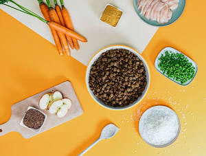 Dog Chef Ration Fraîche Poulet