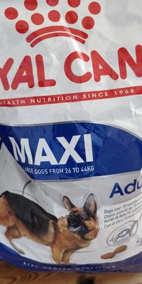 Royal Canin Regular Fit 32