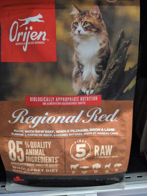 Regional Red Cat