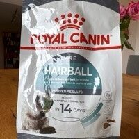 Hairball Care Chat