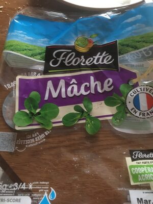 Mâche