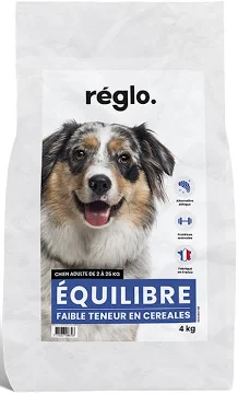 Insectes Petits Légumes Chien Adulte