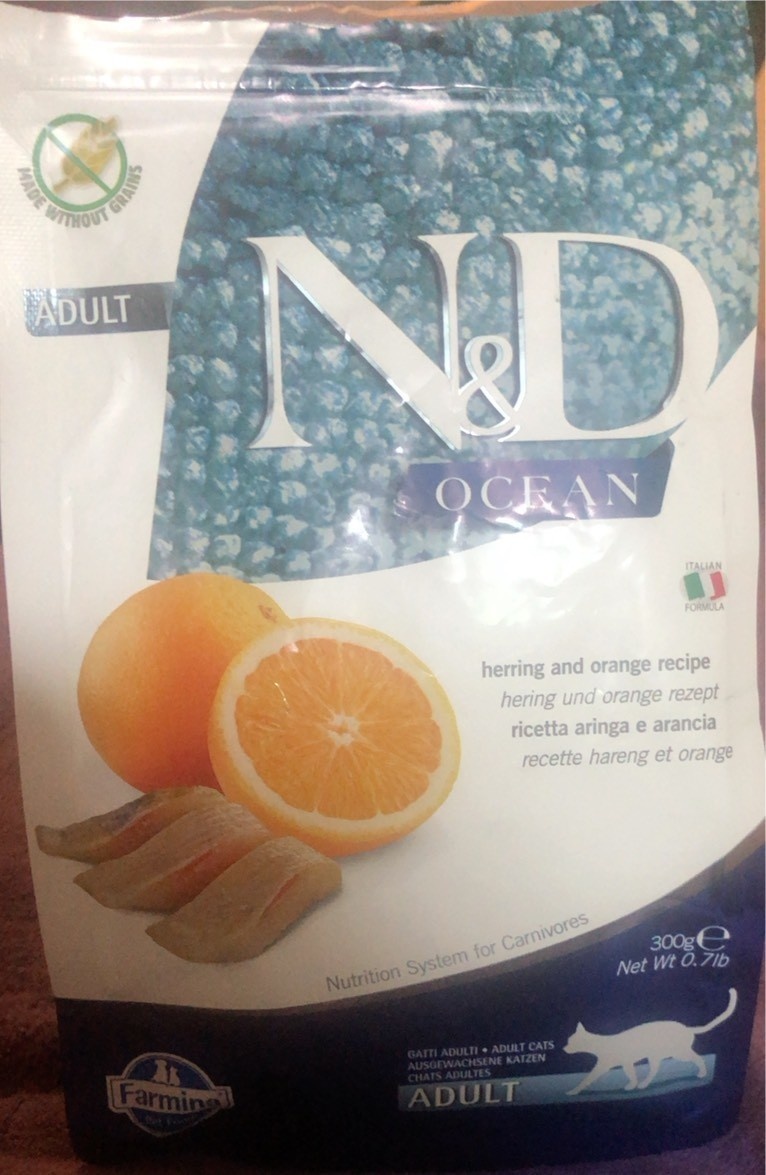 N&D Ocean Cod, Pumpkin & Orange Adult Medium & Maxi