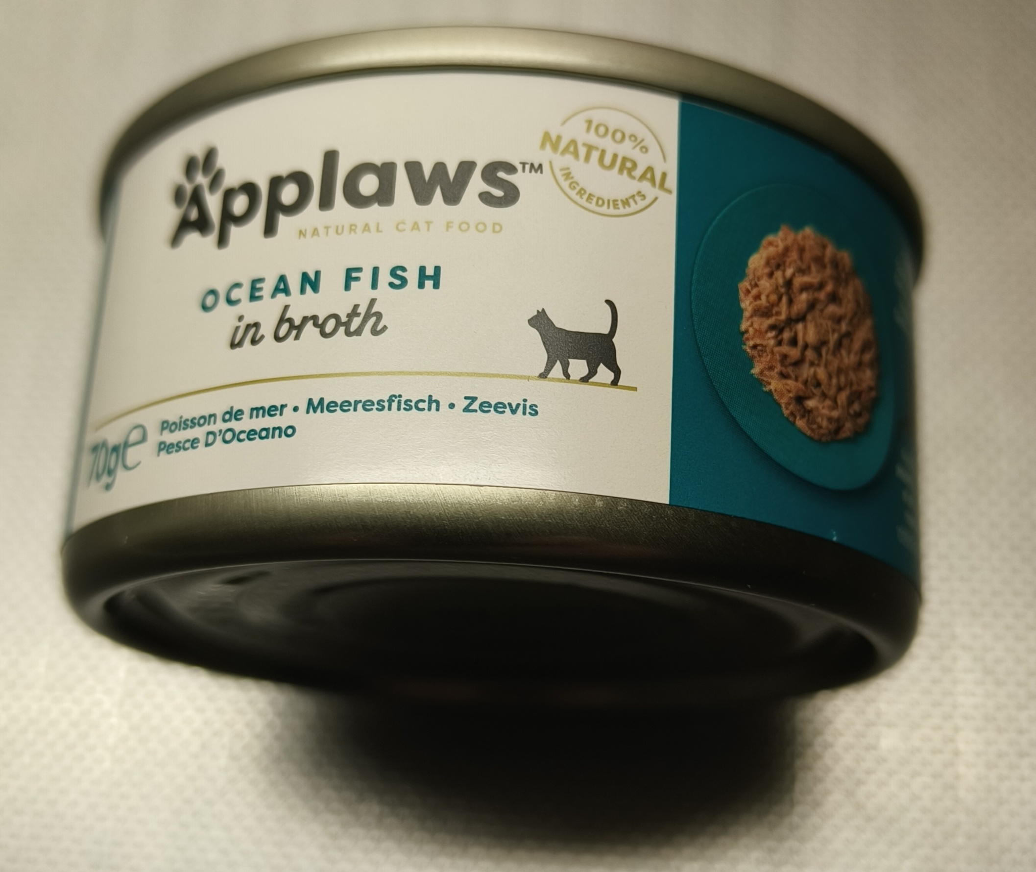 Adult Poisson Océan & Saumon