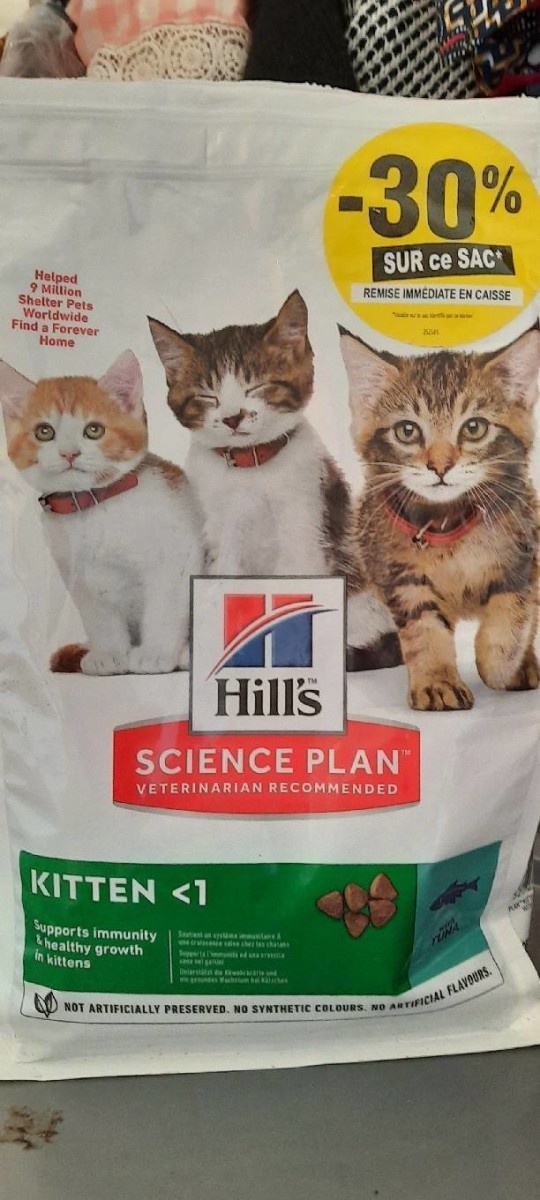 Science Plan Kitten Healthy Development with Salmon
