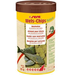 Reptil Professional Carnivor Nature