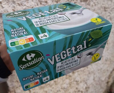 Yaourt au lait de coco