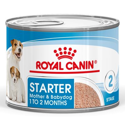 Starter Mousse Mother & Babydog